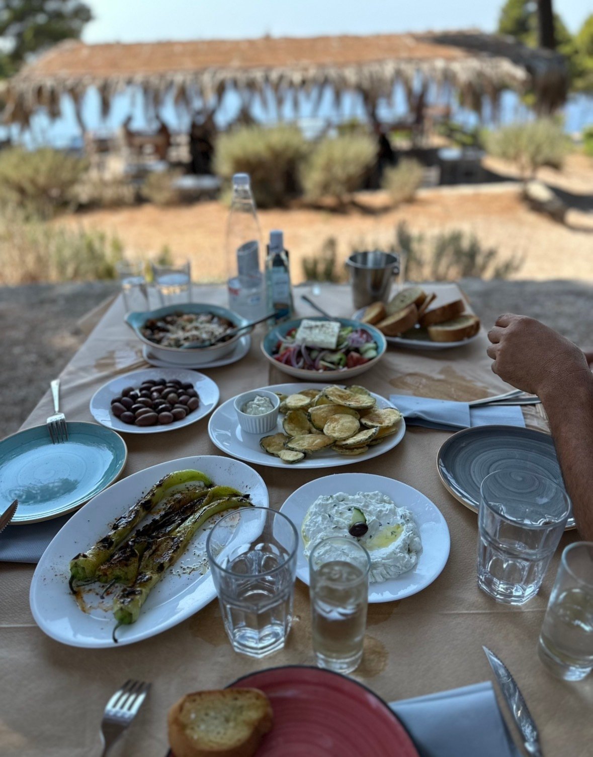 Traditional Greek dishes served outdoors at Taverna Oasis near Athani, Lefkada.